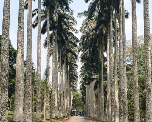 aburi gardens